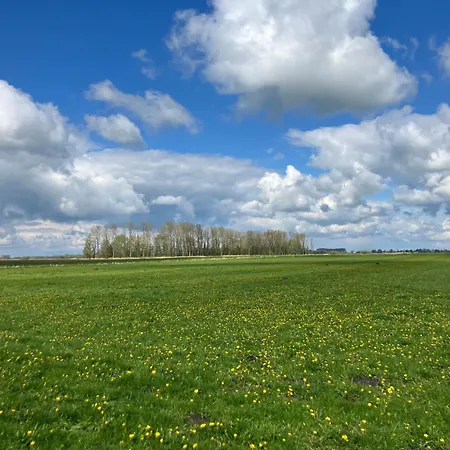 Bruns Ihlow (Aurich)