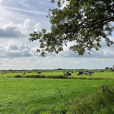 Bruns Ihlow (Aurich)